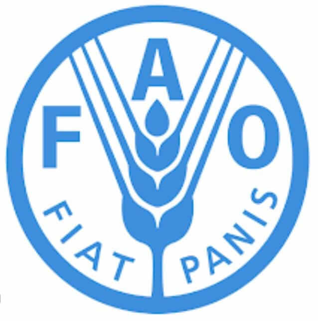 Food and Agriculture Organization (UN) logo
